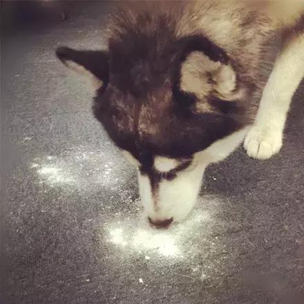 肿么办,就是超爱喝这款山羊奶粉拦都拦不住!