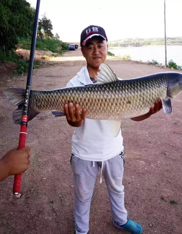 《渔获战报》大青鱼爆连引发的连环事件