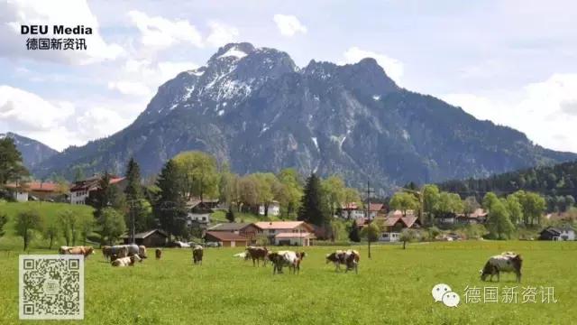 爱他美德国版奶粉怎么样,德国爱他美奶粉价格表大全