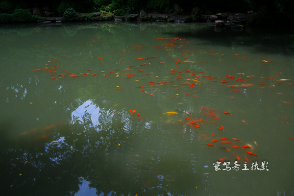 惠山古镇江南第一山介绍,江南第一古镇梅里古镇夜景