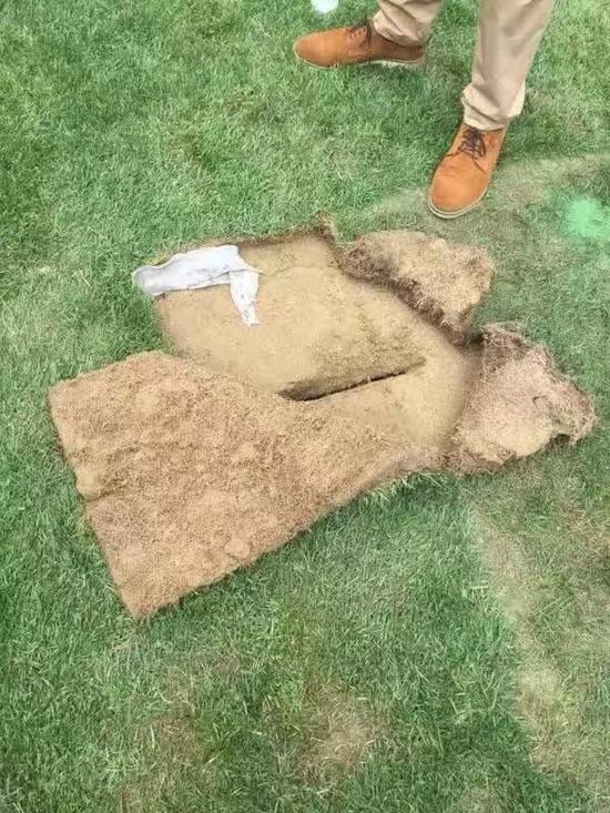 鸟巢足球冠军杯,鸟巢举办国际冠军杯