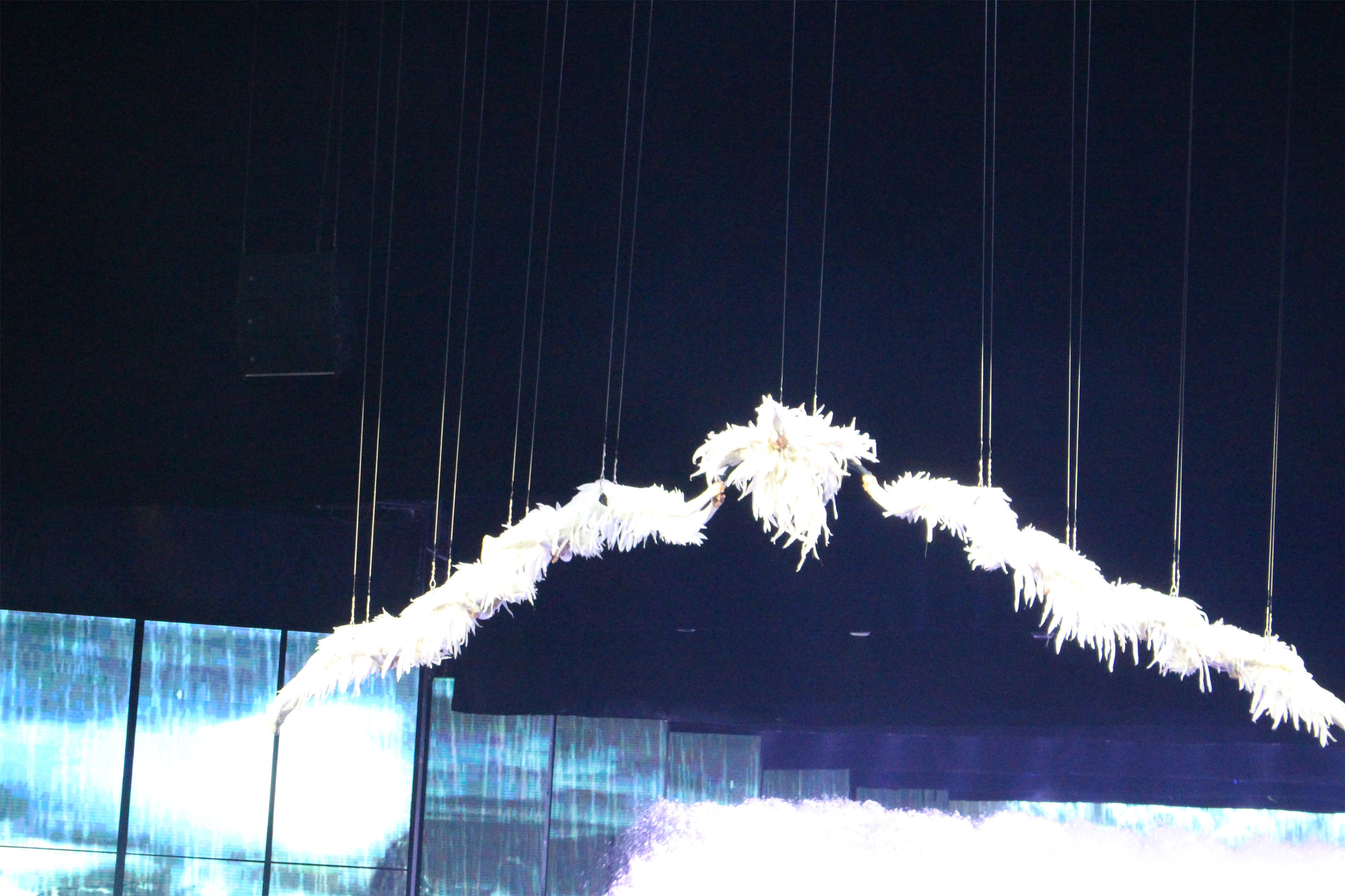 忘记艳遇,百变丽江,仅用一天,赴那千年之约