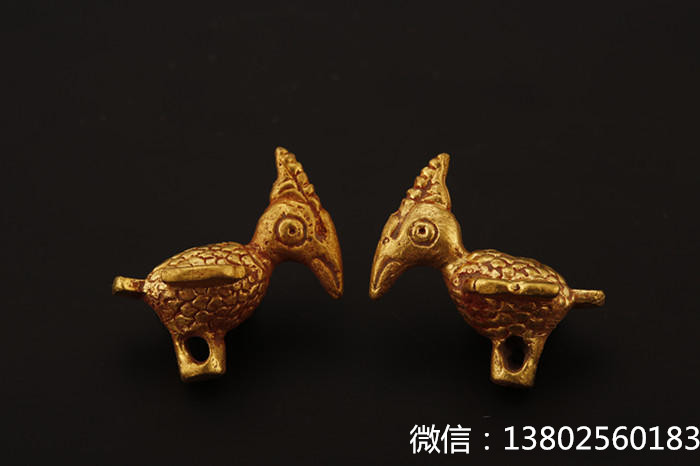 盘点那些大型萌宠的可爱瞬间,盘点这五个萌宠你觉得哪个最可爱