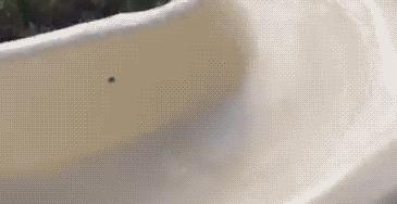 十条笑话,十条短笑话