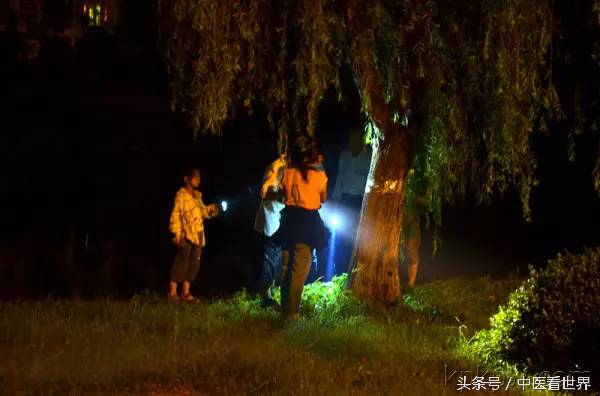 夏天能用什么药治皮肤病,夏天最管用的几种药