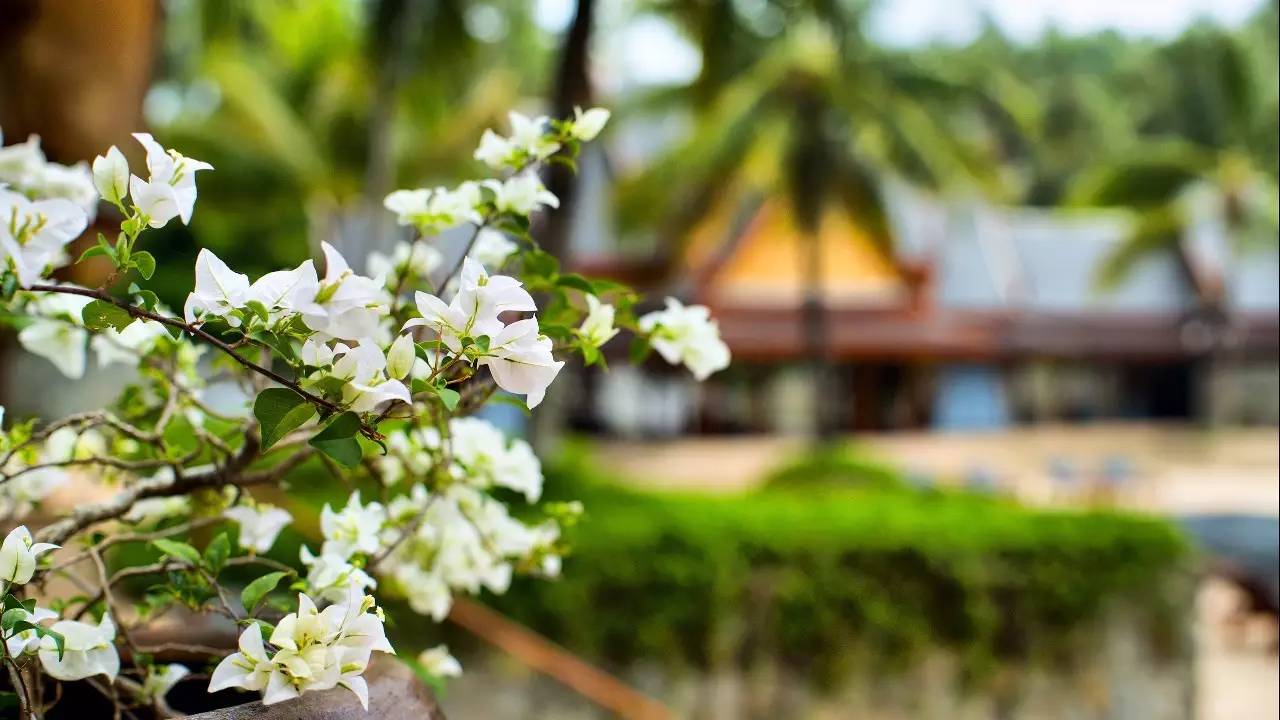 中国的第一家安缦酒店,寻本溯源倚鹿前行