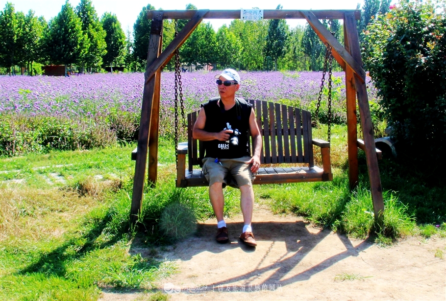 薰衣草庄园室内设计案例,薰衣草庄园的拍摄与着装搭配