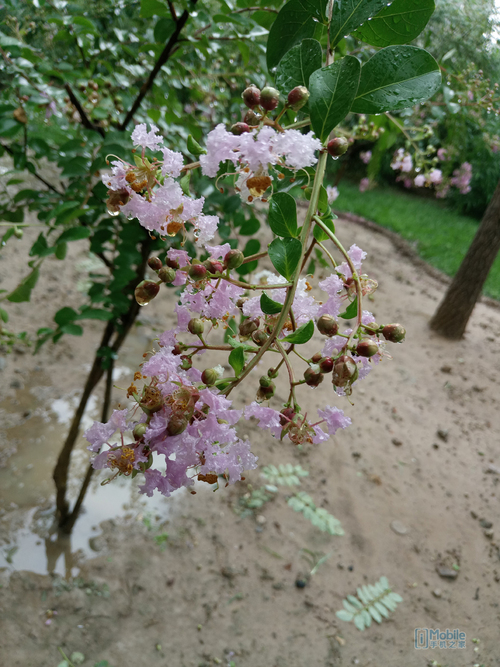 <html>
<head><title>502BadGateway</title></head>
<body>
<center><h1>502BadGateway</h1></center>
<hr><center>nginx</center>
</body>
</html>
<!--apaddingtodisableMSIEandChromefriendlyerrorpage-->
<!--apaddingtodisableMSIEandChromefriendlyerrorpage-->
<!--apaddingtodisableMSIEandChromefriendlyerrorpage-->
<!--apaddingtodisableMSIEandChromefriendlyerrorpage-->
<!--apaddingtodisableMSIEandChromefriendlyerrorpage-->
<!--apaddingtodisableMSIEandChromefriendlyerrorpage-->
