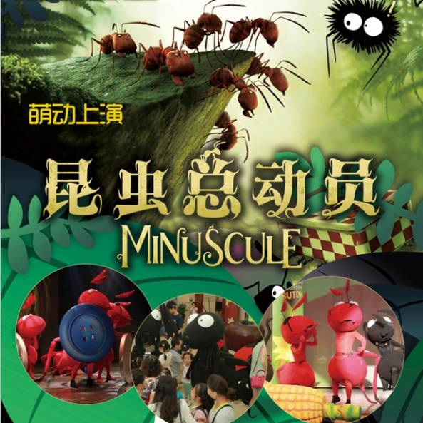 音乐节8月上海,8月上海音乐演出