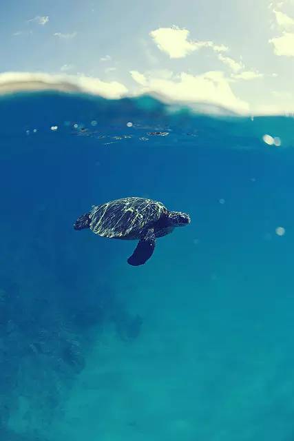 害怕被空气所伤害丨名家：邱华栋