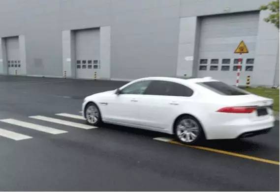 大众汽车尾气门事件,大众汽车尾气门事件涉及的问题