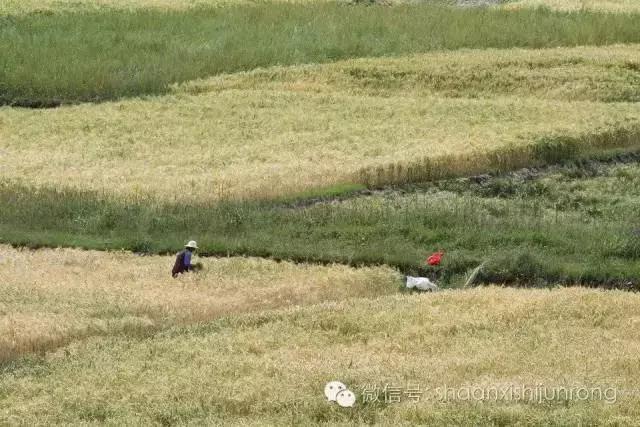 我的夜晚比你的白天更美,白天和夜晚儿歌