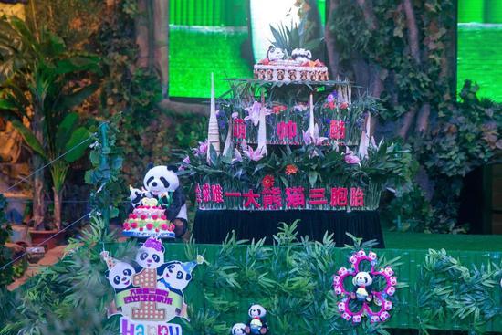 送福利！与其在家葛优躺，不如抢票来长隆参加熊猫三胞胎生日趴~