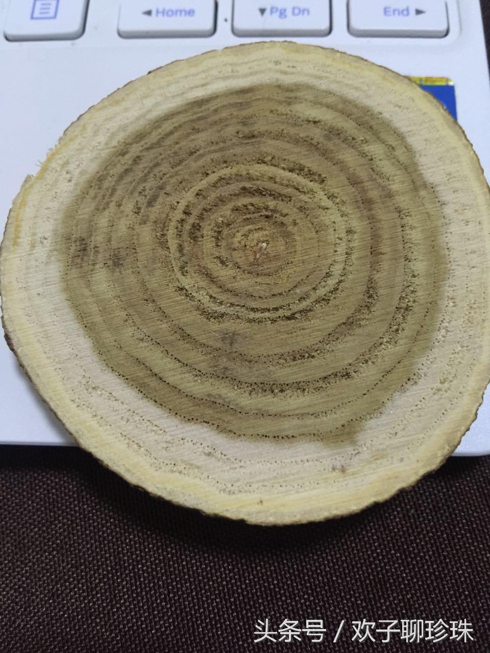 拥有生命之光的珍珠你能读懂它吗?|欢子聊珍珠