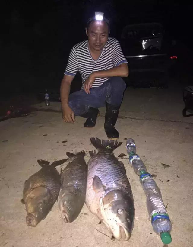 《渔获战报》大青鱼爆连引发的连环事件