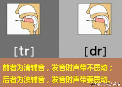 辅音28个音标大图讲解,音标5个元音和19个辅音讲解