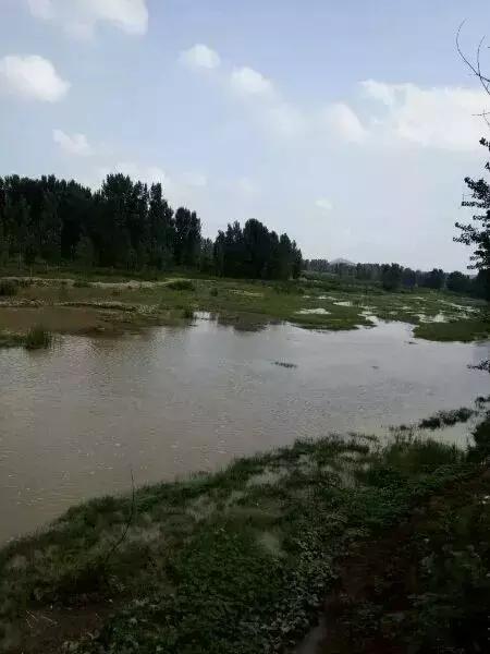 南阳最近溺水伤亡事件,南阳近17天溺水事故有几起