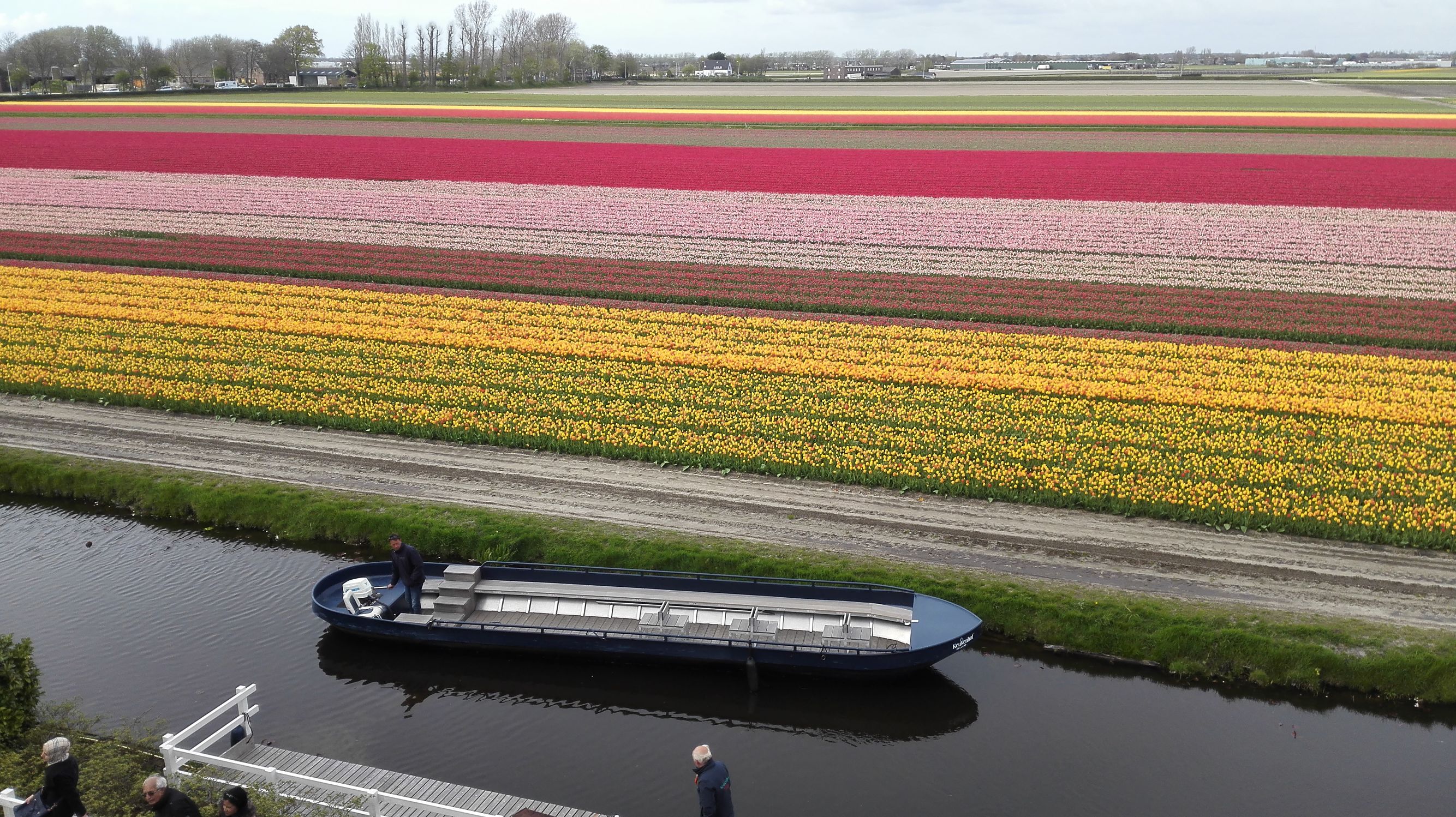 荷兰奶粉哪款最好,荷兰奶粉有什么秘密