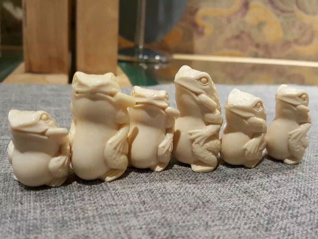 为什么猛犸象牙早晚都得裂,猛犸象牙见太阳容易裂不