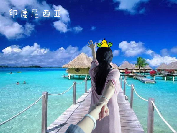 在遨游世界巡回开心与买香奈儿、蔻驰、普拉达之间，你选哪个？