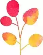 南京七夕开车约会指南,七夕约会流程安排重庆