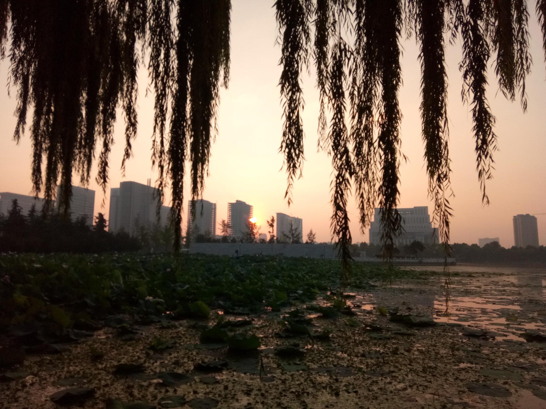 小品牌性价比电动车,酷比max5参数