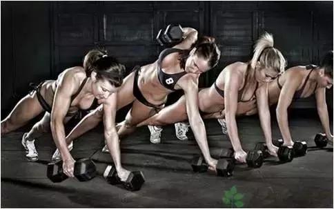 怎样摆脱皮包骨,讲通俗易懂的饮食健康知识