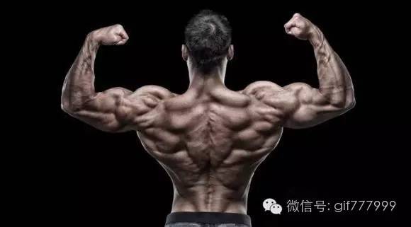 硬汉需要什么,硬汉必须有肌肉吗