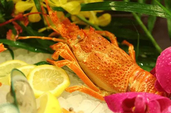 北京五星级酒店最新排名,北京五星级酒店的餐厅