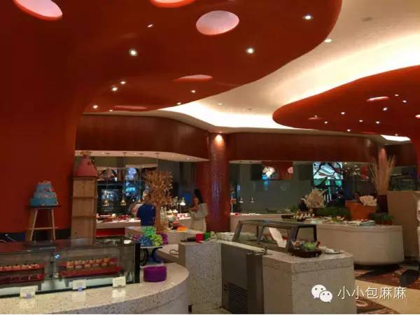 珠海长隆动物园游记,游记长隆动物园