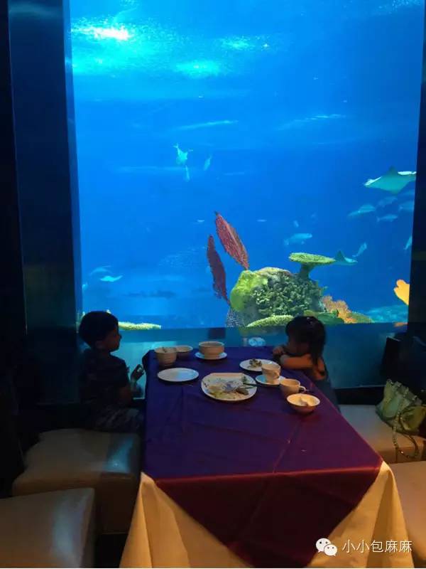 广州长隆动物园一日游攻略,长隆动物园和海洋公园哪个值得去