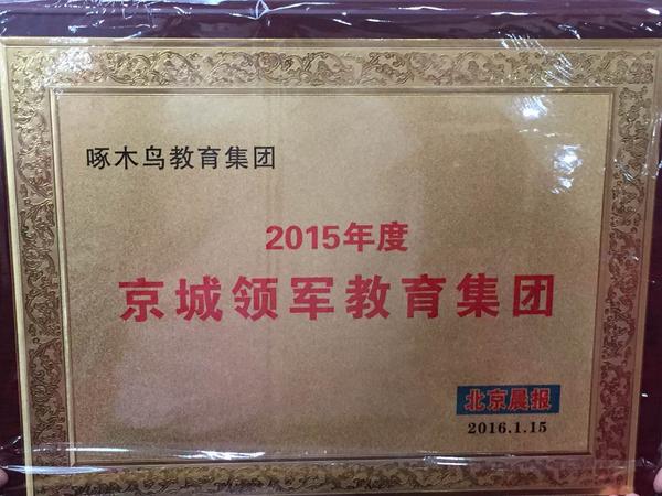 啄木鸟教育,啄木鸟一等奖