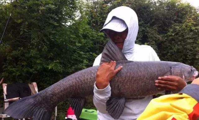 今日我们向一个时代的英雄告别