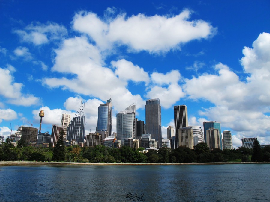 悉尼是啥味道,悉尼盐蚝