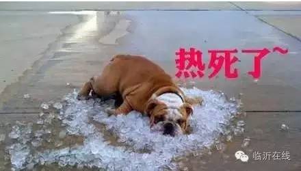 昨天留言“热”的朋友们,看看这里有木有你的神回复!