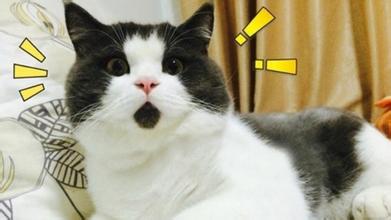 温网最新消息今天,温网最新战况最新消息