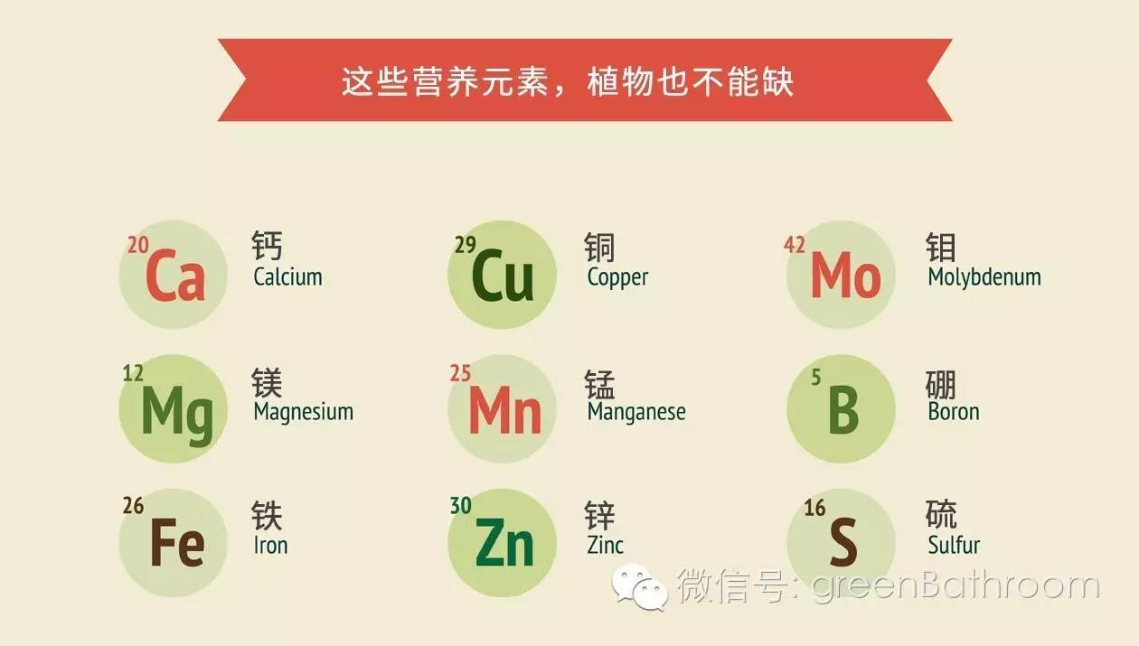 掌握正确施肥方法,如何正确操作施肥