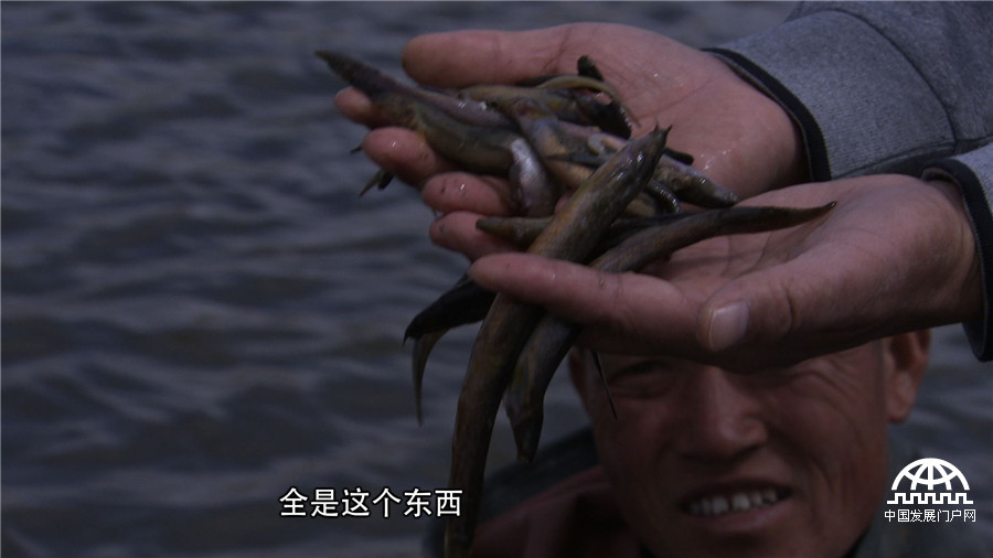 致富经养鱼一年多卖1000万,致富经一亩地赚过亿