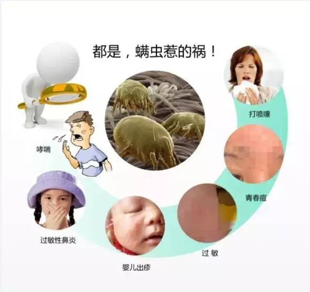 它比蟑螂还可怕，每天潜伏在宝宝身边！99%的妈妈都不知道...