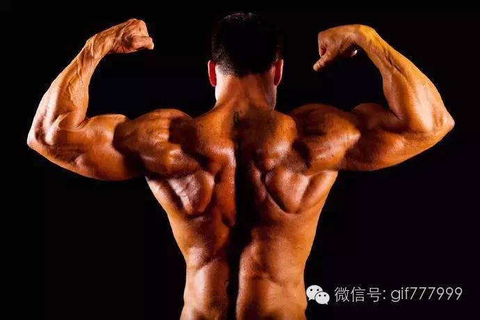 硬汉需要什么,硬汉必须有肌肉吗