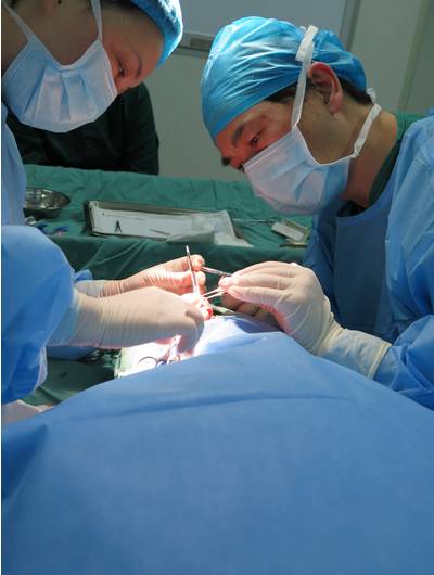 摄影大赛最美瞬间,摄影大赛不负韶光