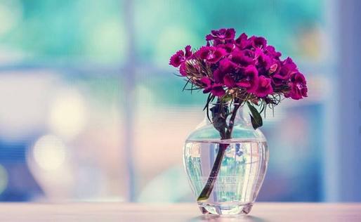 怎么开一场有意义的幼儿园家长会,幼儿园如何开好高品质的家长会