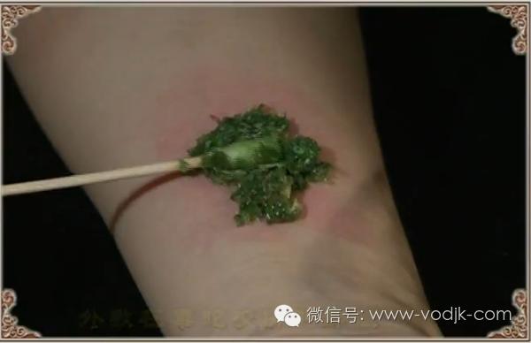 解毒散结的药排名第一,十大解毒药排名