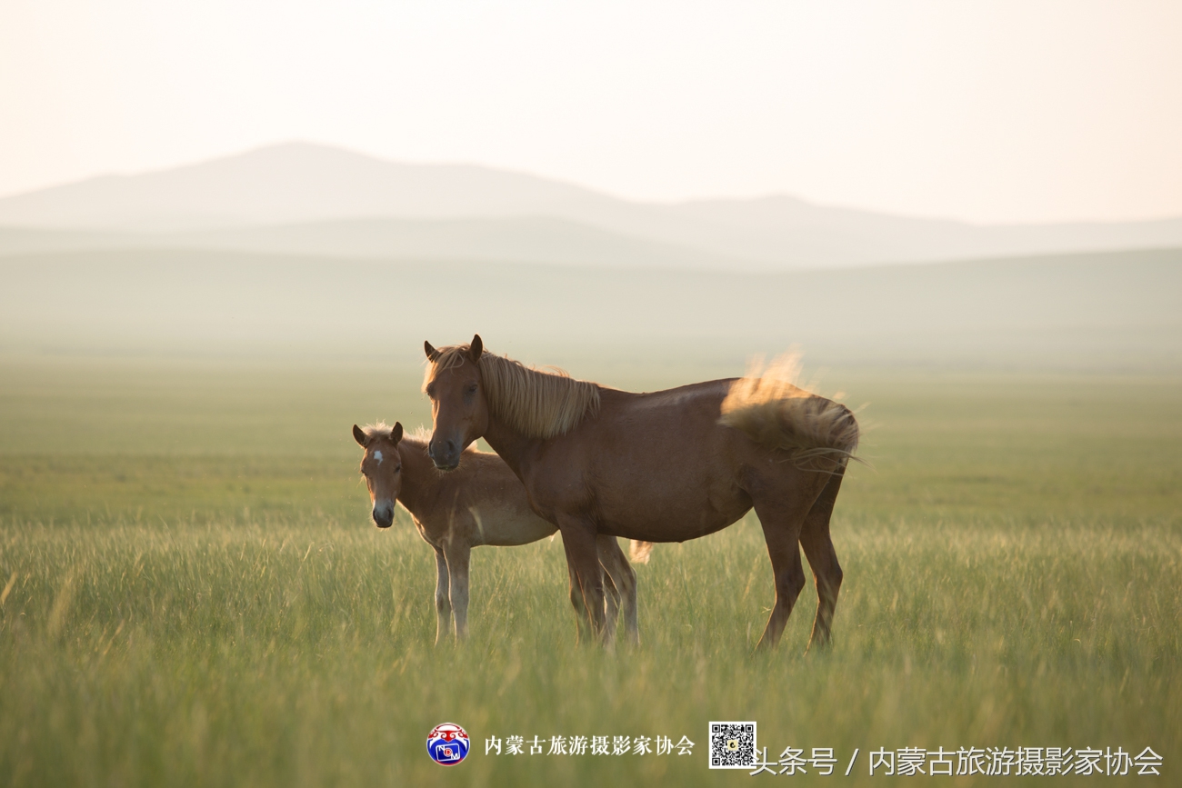 2018平遥摄影节参观攻略,平遥国际摄影大展旅游