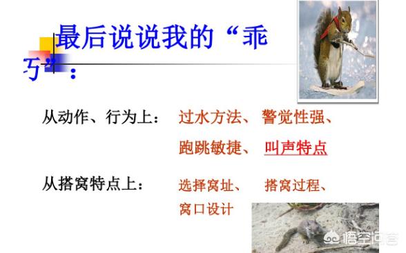 提高五年级作文水平的技巧及训练,小学五年级作文十大技巧