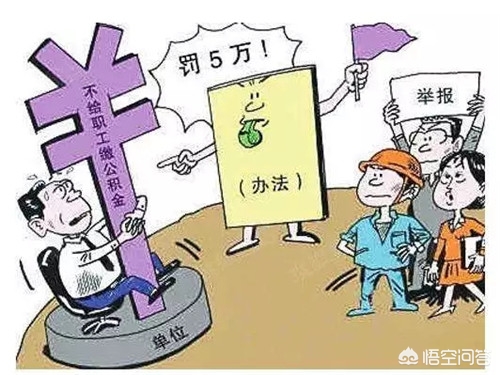 管办分离的有效实现形式,管办分离