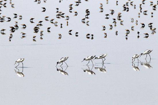 辽宁景点门票,辽宁省景点大全一览表