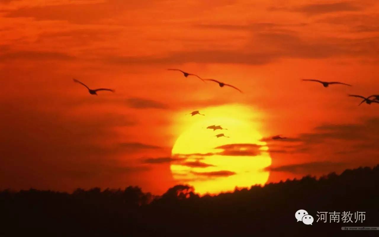 端午诗会课堂,端午诗会实录