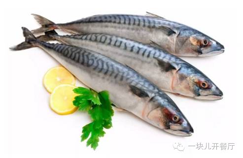 不懂会计的老板算利润,不懂餐饮的女老板