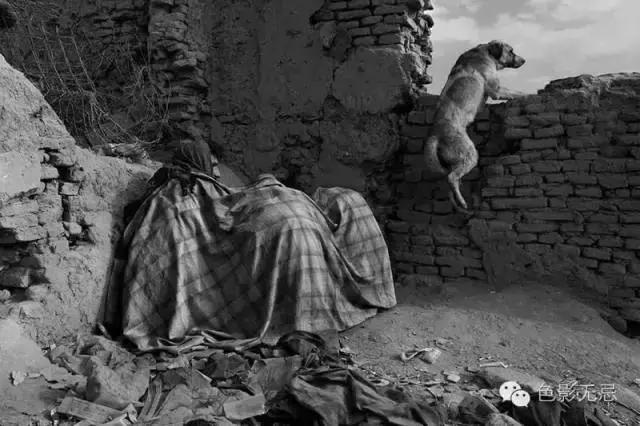 经历了枪林弹雨的岁月,经历了战场的腥风血雨